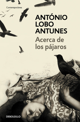 [9788483469163] ACERCA DE LOS PÁJAROS