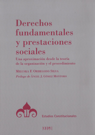 [9788425917776] DERECHOS FUNDAMENTALES Y PRESTACIONES SOCIALES