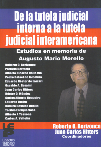 [015127] DE LA TUTELA JUDICIAL INTERNA A LA TUTELA JUDICIAL INTERAMERICANA