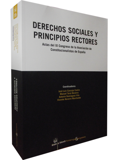 [9788490045596] DERECHOS SOCIALES Y PRINCIPIOS RECTORES