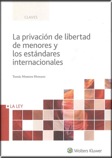 [9788490206812] LA PRIVACIÓN DE LIBERTAD DE MENORES Y LOS ESTÁNDARES INTERNACIONALES