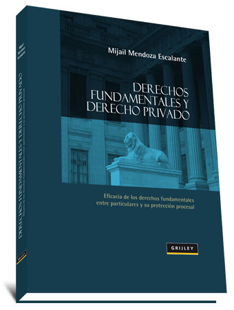 [9789972042539] DERECHOS FUNDAMENTALES Y DERECHO PRIVADO
