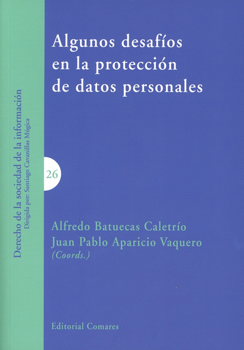 [9788490456385] ALGUNOS DESAFÍOS EN LA PROTECCIÓN DE DATOS PERSONALES