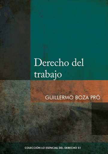 [9786123176297] DERECHO DEL TRABAJO