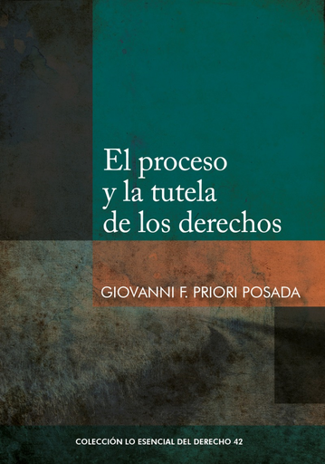 [9786123175009] EL PROCESO Y LA TUTELA DE LOS DERECHOS