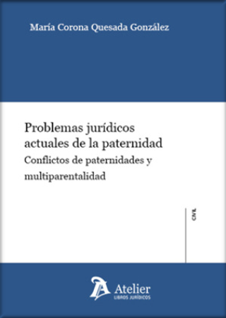 [9788418780134] PROBLEMAS JURÍDICOS ACTUALES DE LA PATERNIDAD