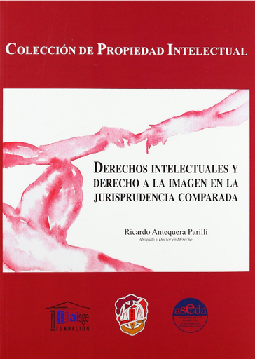 [9788429016956] DERECHOS INTELECTUALES Y DERECHO A LA IMAGEN EN LA JURISPRUDENCIA COMPARADA