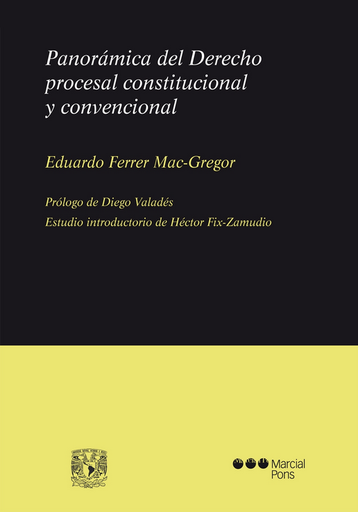 [9788491232056] PANORÁMICA DEL DERECHO PROCESAL CONSTITUCIONAL Y CONVENCIONAL