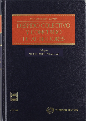 [9788447038824] DESPIDO COLECTIVO Y CONCURSO DE ACREEDORES