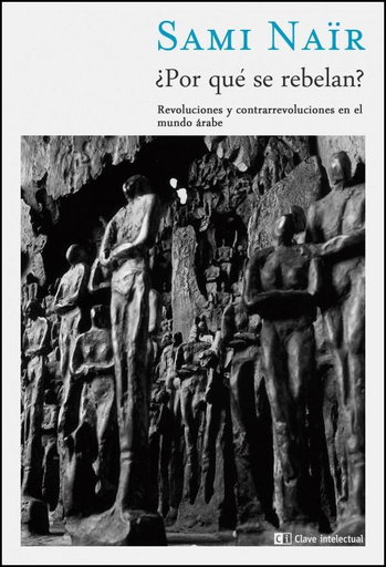 [9788494074127] ¿POR QUÉ SE REBELAN?