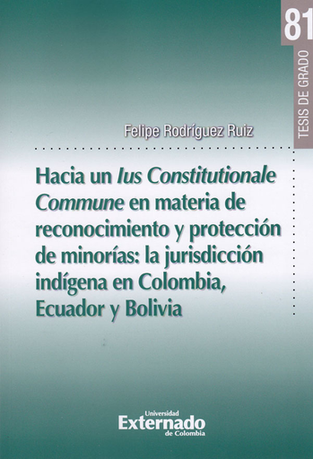 [9789587727296] HACIA UN LUS CONSTITUCIONALE COMMUNE EN MATERIA DE RECONOCIMIENTO Y PROTECCIÓN DE MINORÍAS