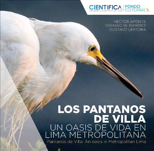 [9786124276095] LOS PANTANOS DE VILLA