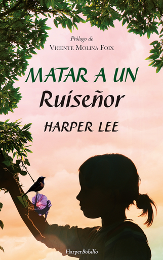 [9788417216948] MATAR A UN RUISEÑOR