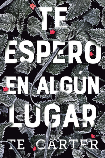 [9788494811319] TE ESPERO EN ALGÚN LUGAR