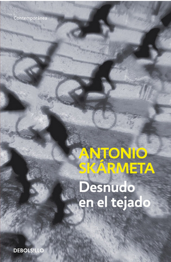 [9788497931205] DESNUDO EN EL TEJADO