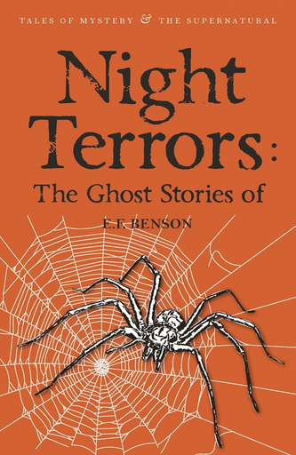 [9781840226850] NIGHT TERRORS