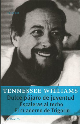 [9789500363105] DULCE PÁJARO DE JUVENTUD / ESCALERAS AL TECHO / EL CUADERNO DE TRIGORIN