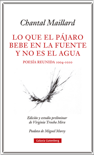 [9788418807633] LO QUE EL PÁJARO BEBE EN LA FUENTE Y NO ES EL AGUA