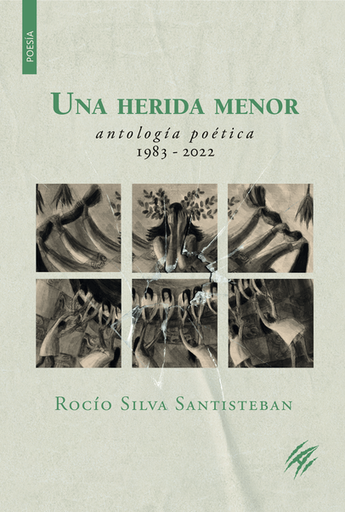 [9786124406218] UNA HERIDA MENOR