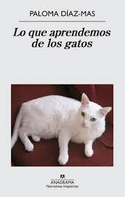 [9788433997807] LO QUE APRENDEMOS DE LOS GATOS