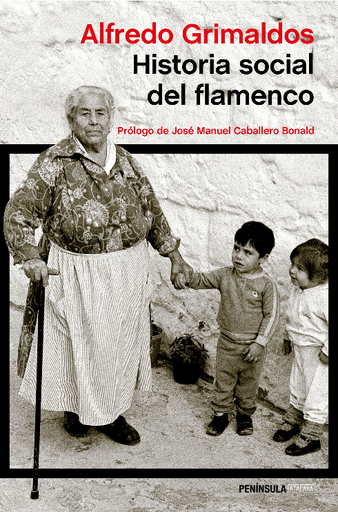 [9788499423845] HISTORIA SOCIAL DEL FLAMENCO