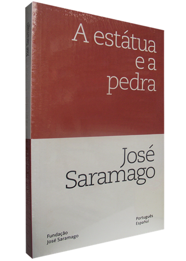 [9789587585384] A ESTÁTUA E A PEDRA