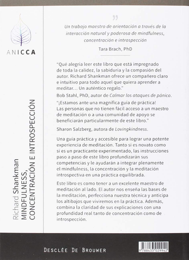 [9788433029942] MINDFULNESS, CONCENTRACIÓN E INTROSPECCIÓN