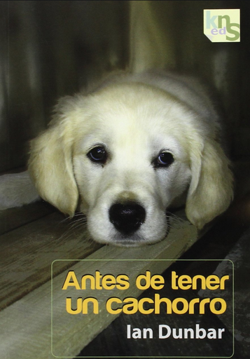 [9788493969035] ANTES DE TENER UN CACHORRO