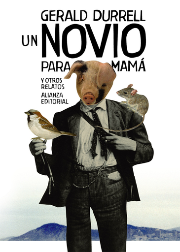 [9788491040736] UN NOVIO PARA MAMÁ Y OTROS RELATOS