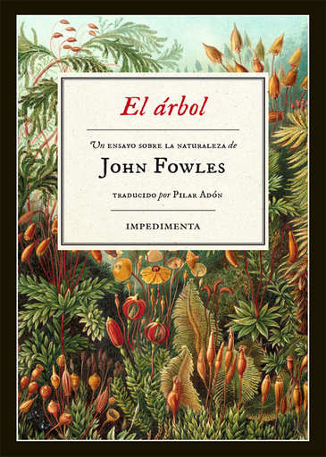 [9788415979975] EL ÁRBOL