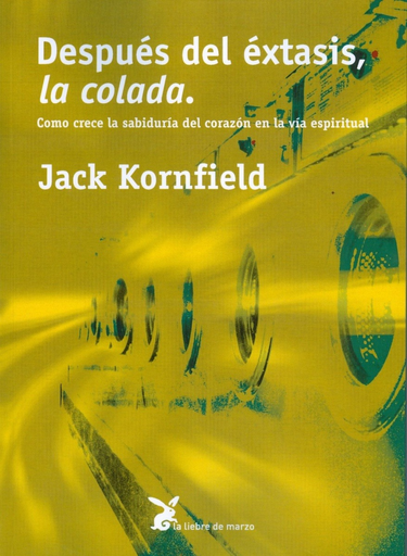 [9788487403569] DESPUÉS DEL ÉXTASIS, LA COLADA