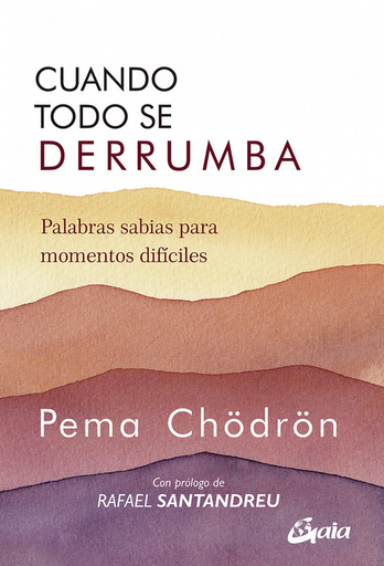 [9788484459941] CUANDO TODO SE DERRUMBA