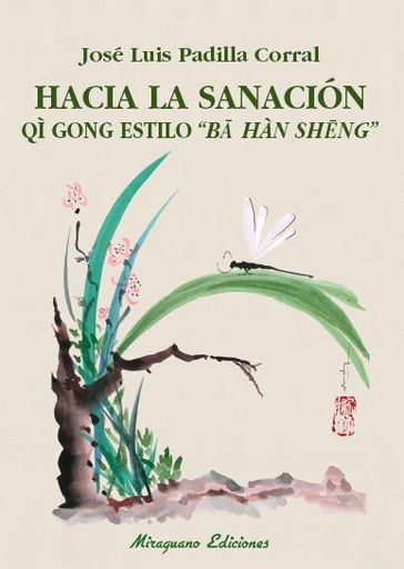 [9788478134595] HACIA LA SANACIÓN