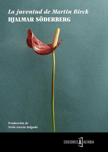 [9788494255250] LA JUVENTUD DE MARTIN BIRCK
