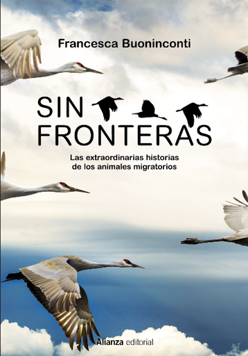 [9788413625300] SIN FRONTERAS