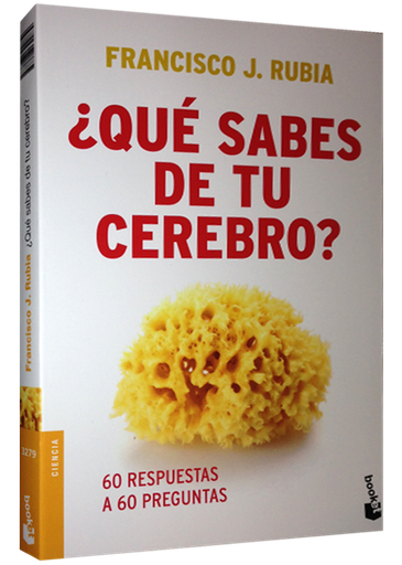 [9788499980935] ¿QUÉ SABES DE TU CEREBRO?