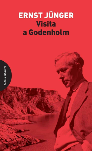 [9788494655739] VISITA A GODENHOLM