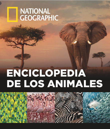 [9788482986432] ENCICLOPEDIA DE LOS ANIMALES