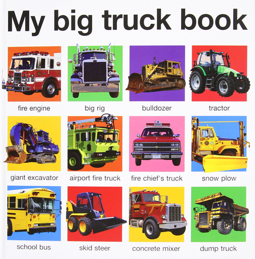 [9780312511067] MY BIG TRUCK BOOK