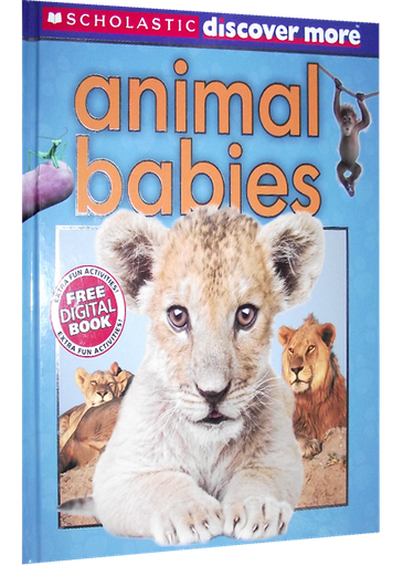 [9780545365680] SCHOLASTIC DISCOVER MORE: ANIMAL BABIES