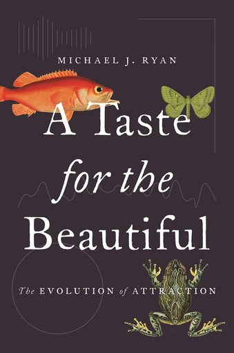 [9780691191393] TASTE FOR THE BEAUTIFUL