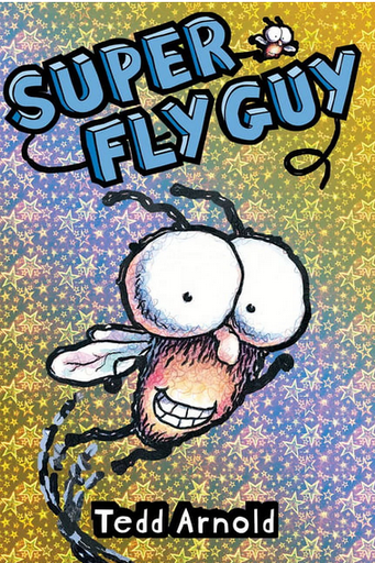 [9780439639040] DUPER FLY GUY