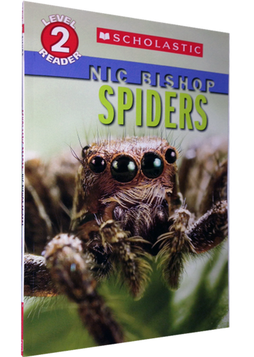 [9780545237574] SPIDERS