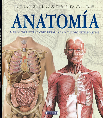 [9788430534784] ATLAS ILUSTRADO DE ANATOMÍA