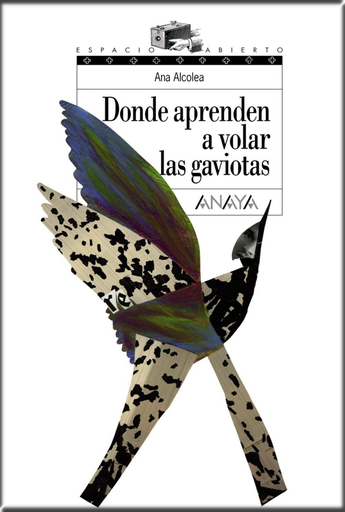 [9788466762489] DONDE APRENDEN A VOLAR LAS GAVIOTAS