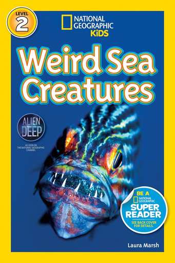 [9781426310478] WEIRD SEA CREATURES