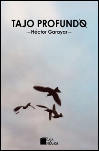 [9786124342783] TAJO PROFUNDO