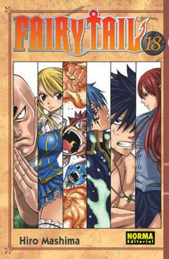 [9788467904048] FAIRY TAIL 18 (de 63)
