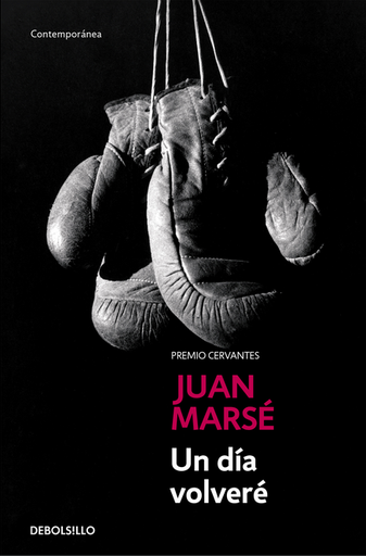 [9788497930314] UN DÍA VOLVERÉ
