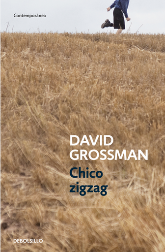 [9788499894805] CHICO ZIGZAG